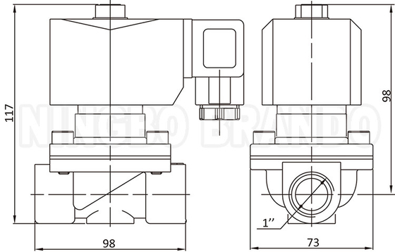 2W250-25 1'' 2 Dirección Normalmente Cerrada de la válvula de solenoide de agua de latón 24V 220V