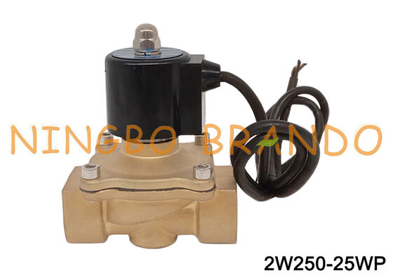 1'' Brass Waterproof Fountain Solenoid Valve 24VDC 220VAC